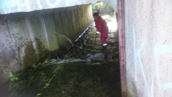 received_2269063829996033