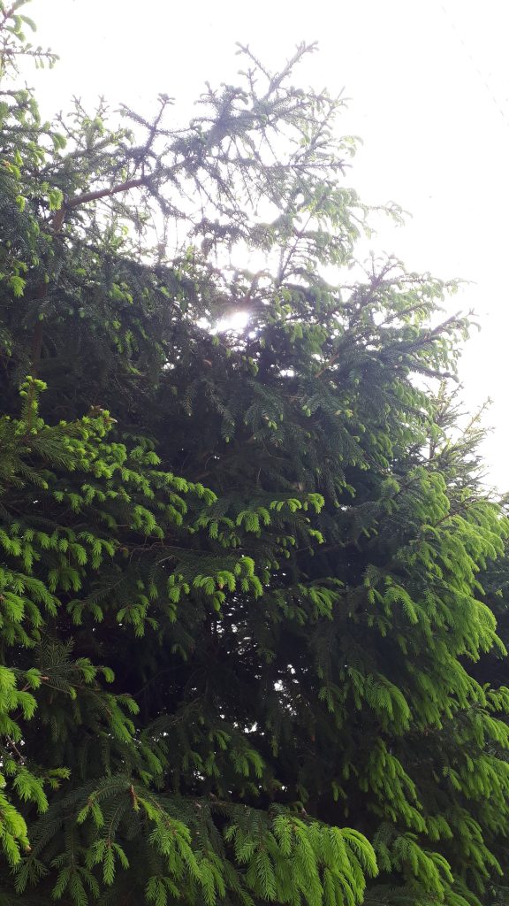 20190527_155922