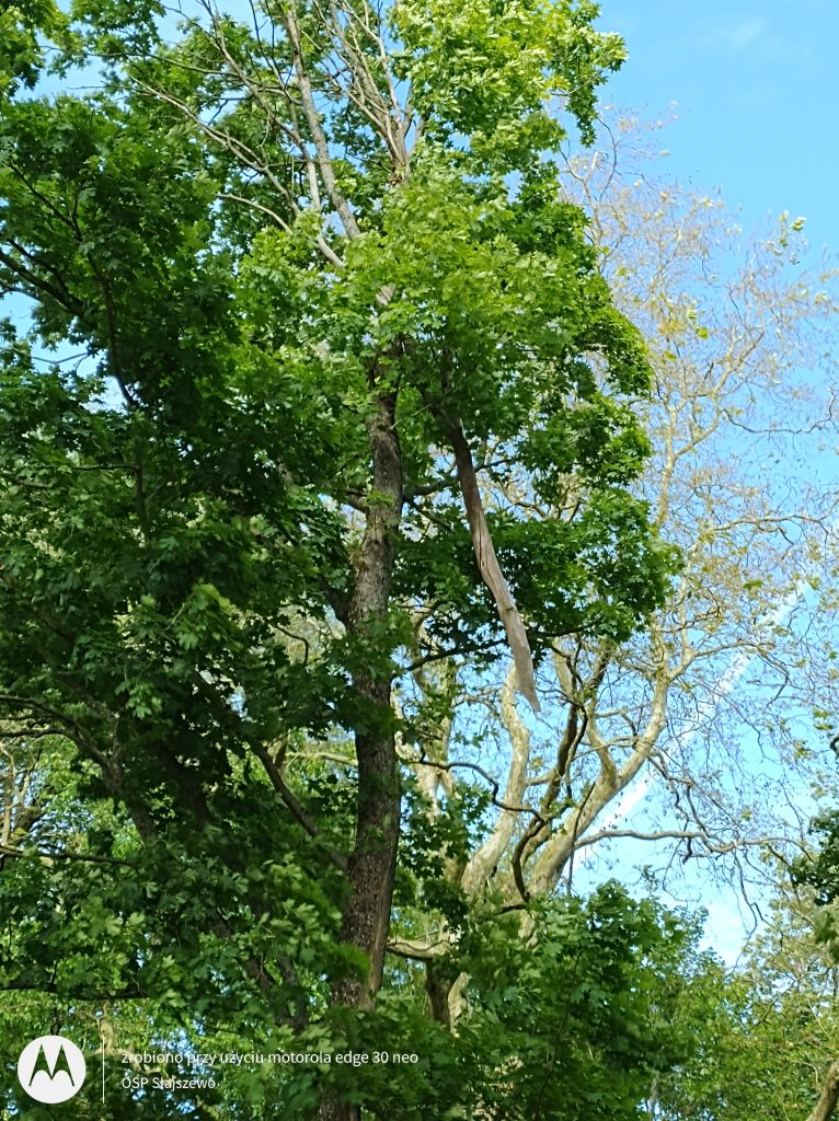 IMG_20250618_160209498