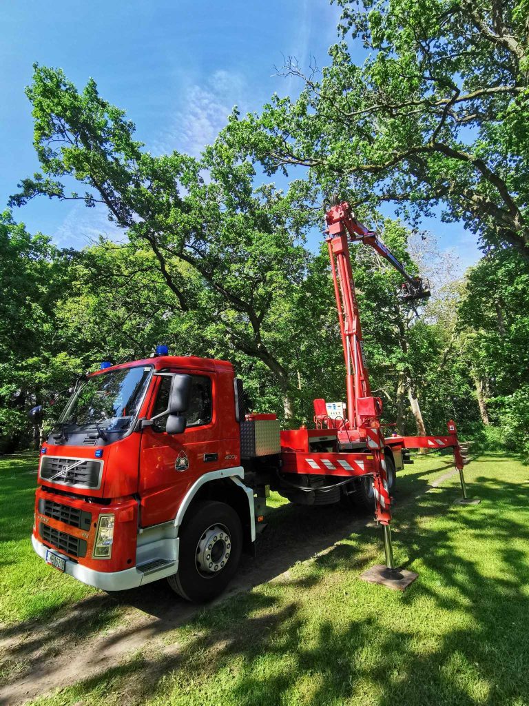 received_1207668490687728