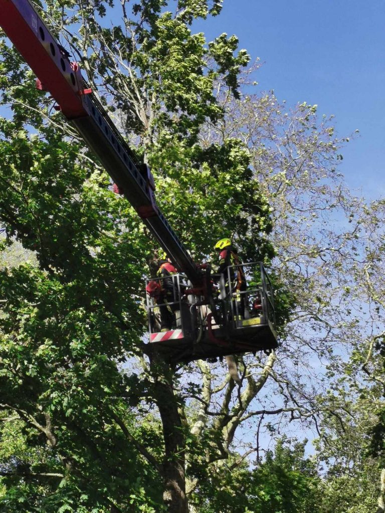 received_1405408670498112