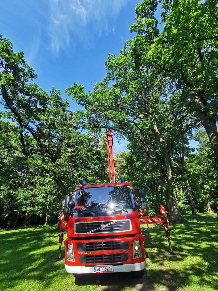 received_1428952511440128