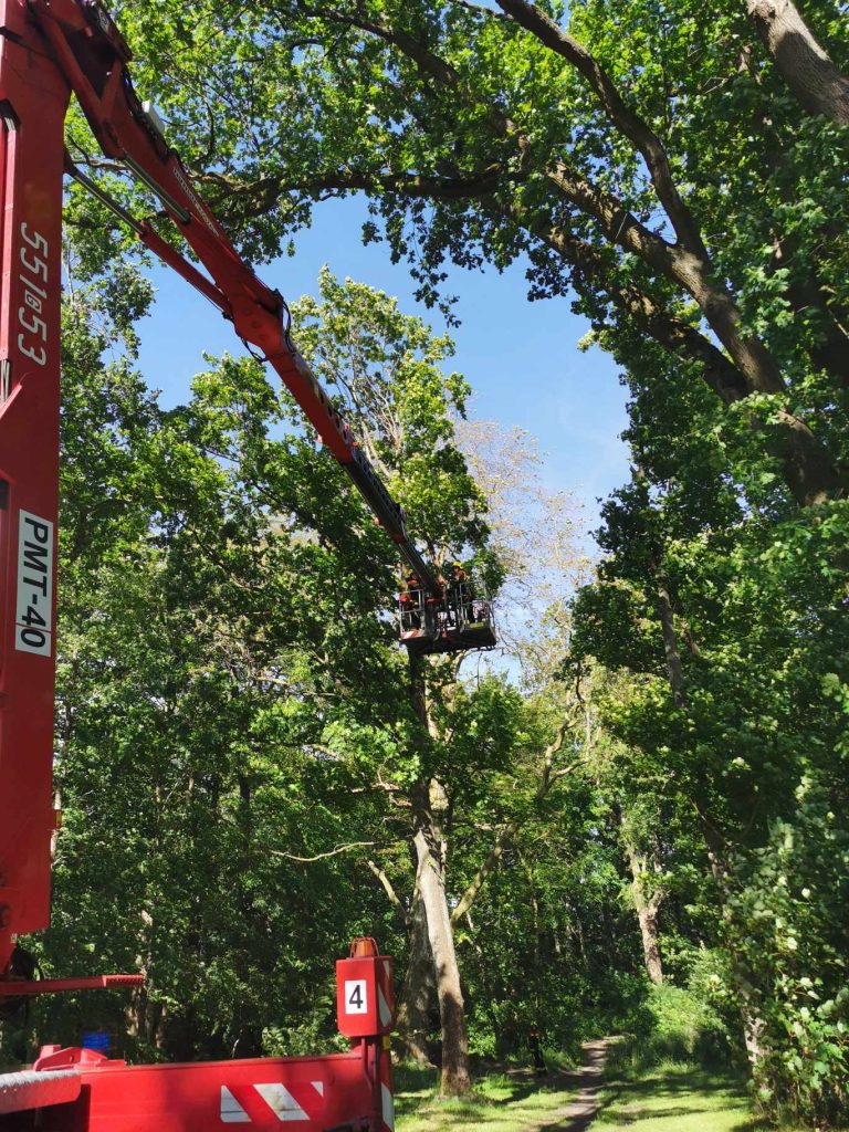 received_1924250678399392