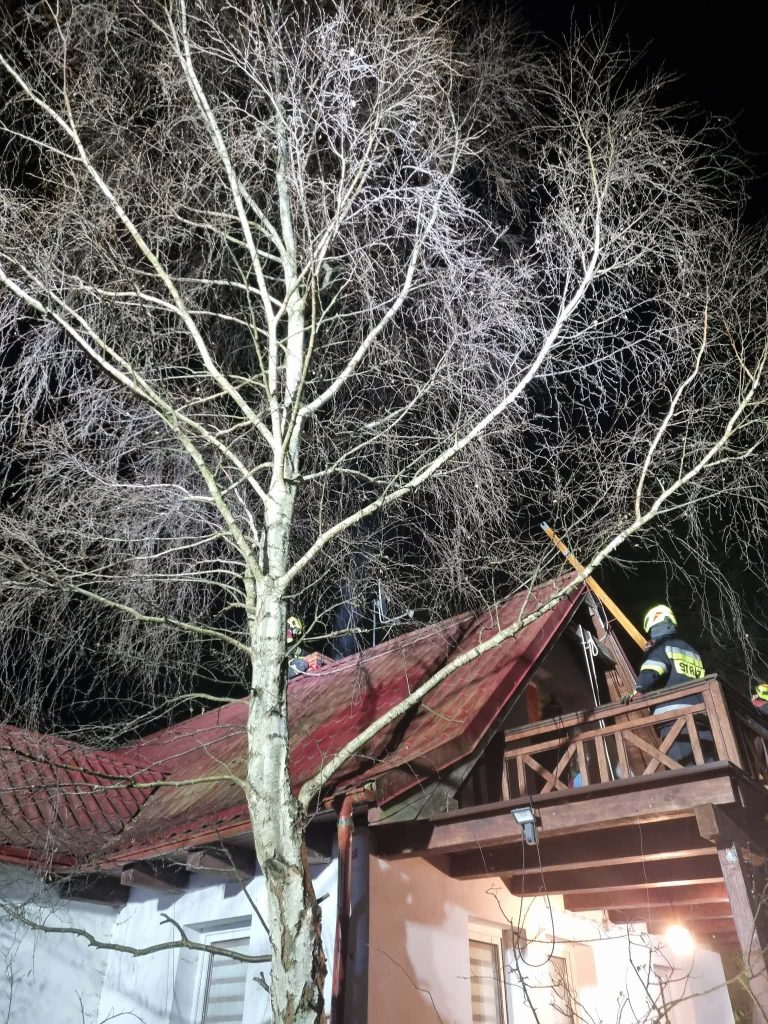 received_1393348609214652