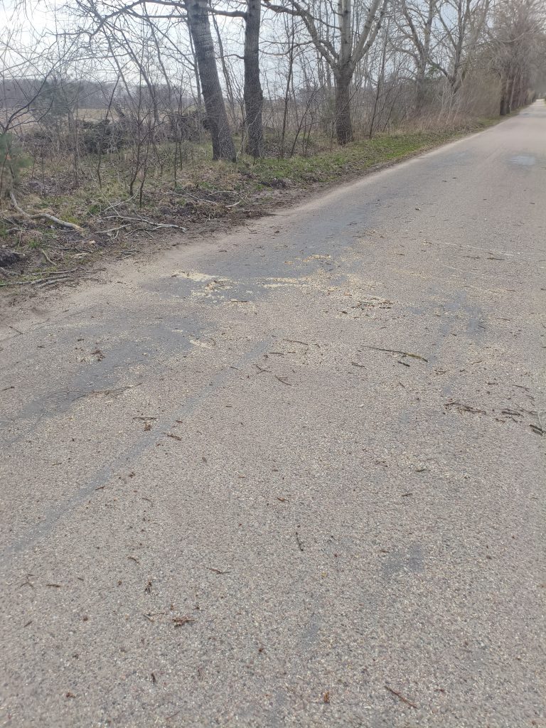 IMG_20260406_162224(1)