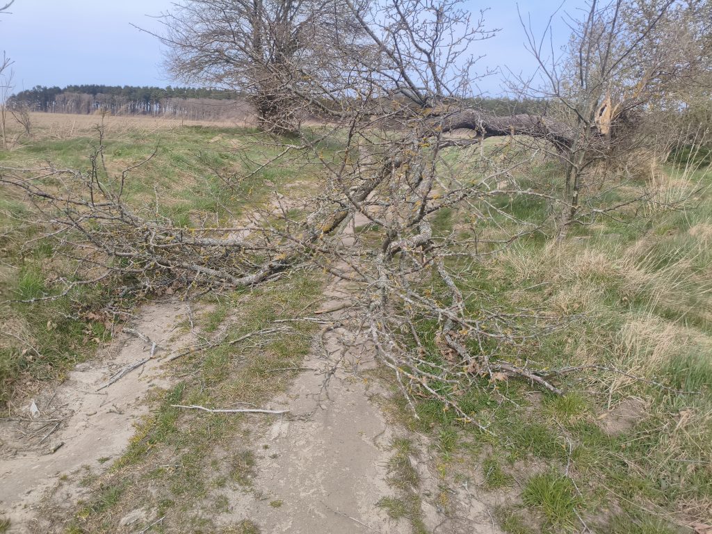 IMG_20260425_142544