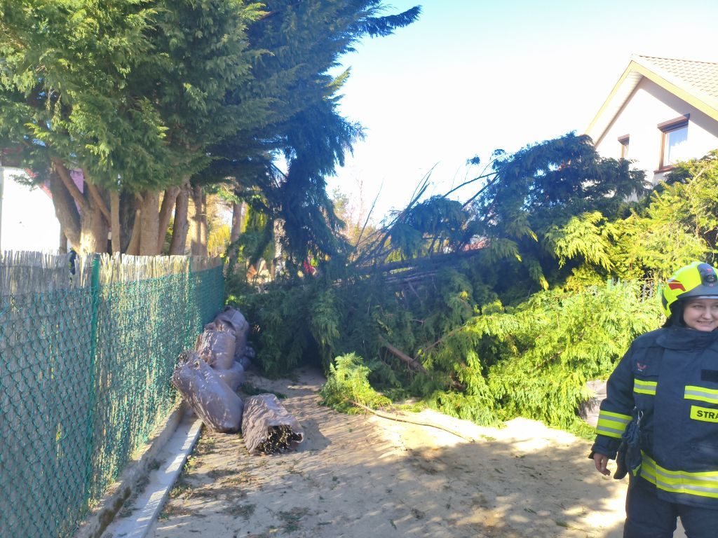 eRemiza_1119085_69d3b1b0d4da763a6406030b.nKp.8