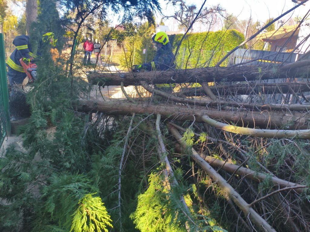 eRemiza_1119085_69d3b1c3d4da763a64060312.w3z.8