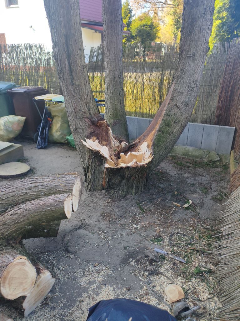 eRemiza_1119085_69d3b532d4da763a64060379.s9U.8