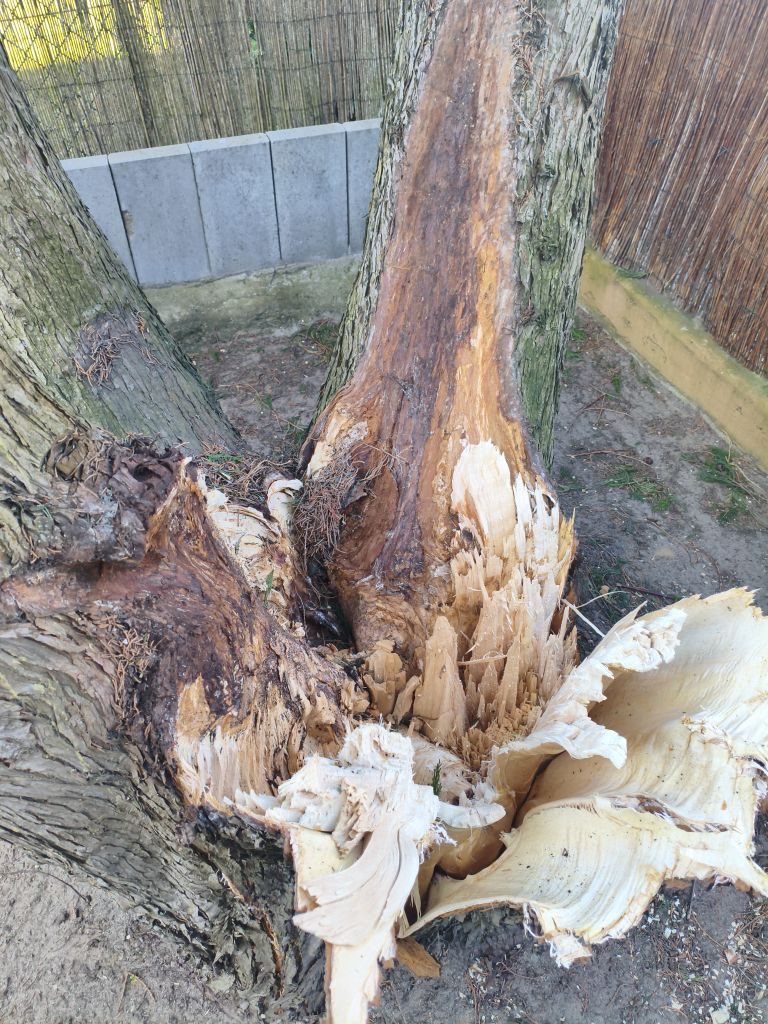 eRemiza_1119085_69d3b53cd4da763a64060380.xOG.8