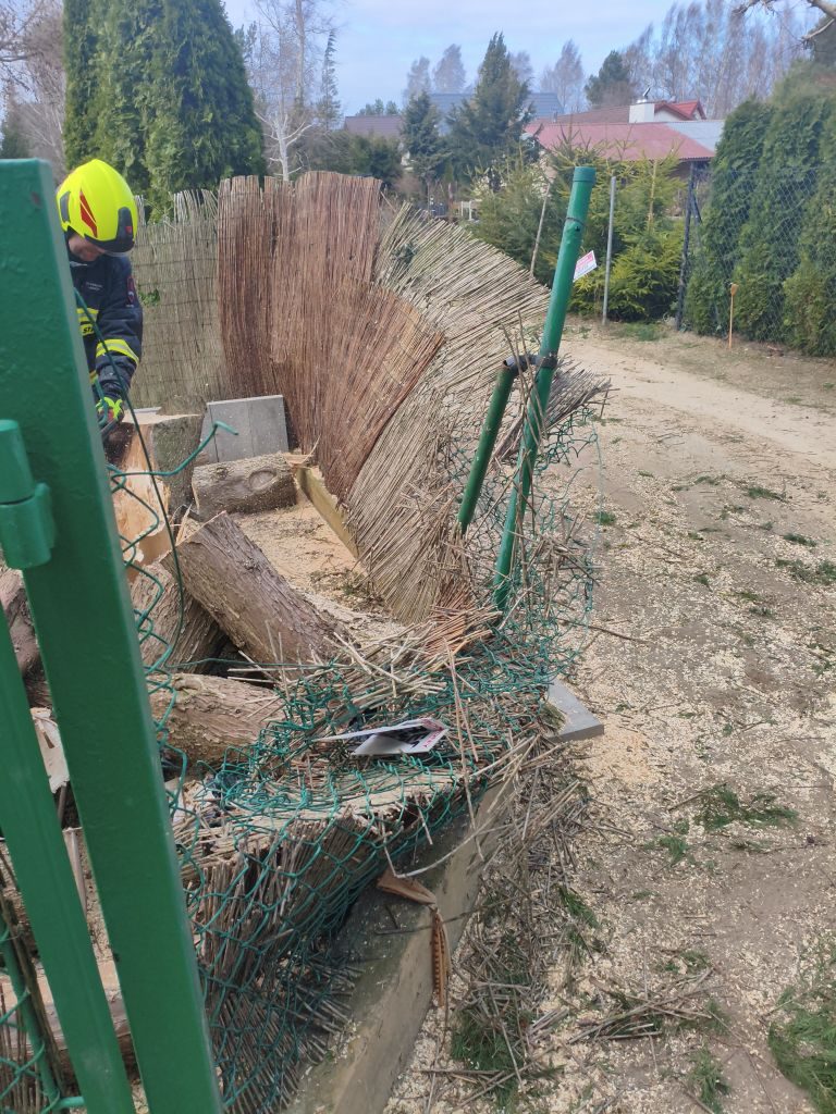 eRemiza_1119085_69d3bcb3d4da763a6406043e.wN0.8